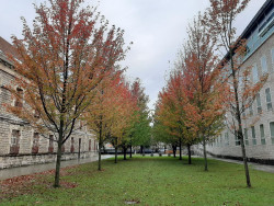 Cuatro años de internamiento para un hombre con esquizofrenia que intentó matar a su pareja cuando estaba drogado