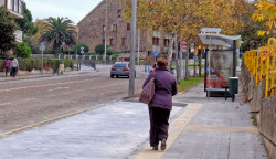 Cuatro empresas optan al suministro de las nuevas marquesinas para el TUS