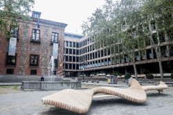 Cultura convoca ayudas a proyectos de especial impacto social con un presupuesto de 4,5 millones de euros