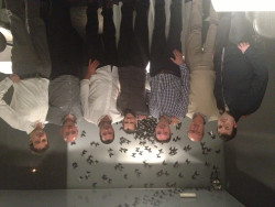 David te invita a que comas con las manos