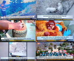 ¿De verdad informan los telediarios? Por David Pasarin-Gegunde