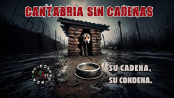 DEAN propone  erradicar la pr&aacute;ctica de encadenar a los perros