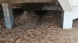 Denuncian la presencia de aguas fecales en la Primera Playa de El Sardinero