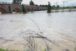 Desalojadas preventivamente 200 personas en Jerez por la crecida del r&iacute;o Guadalete
