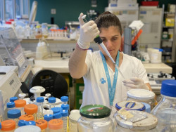 Desarrollan un sistema de vacunación contra el cáncer que reduce la progresión del melanoma
