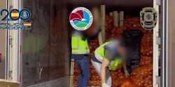 Desarticulan una de las organizaciones criminales m&aacute;s activas de Levante que importaba coca&iacute;na entre cebollas