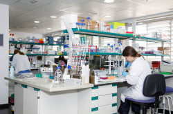 Descubren nuevas nanopartículas en la sangre con potencial para transformar el diagnóstico del cáncer