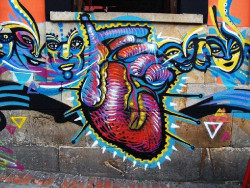 Descubren un nuevo metabolito de microbios intestinales relacionado con enfermedades cardiovasculares