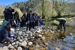 Desde 2019 se ha soltado  un millón de ejemplares de alevines de trucha y salmon