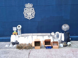 Desmantelan una plantación de marihuana en el `zulo` de una vivienda de Monte (Santander) y detienen a una pareja