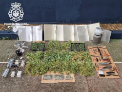 Desmantelan una sofisticada plantación de marihuana en una vivienda del centro de Santander