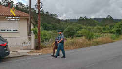 Detenida una vecina de Carballo (A Coru&ntilde;a) acusada de provocar 11 incendios forestales