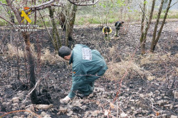 Detenido un vecino de Cabez&oacute;n de 62 a&ntilde;os como presunto autor de seis incendios forestales en Arredondo
