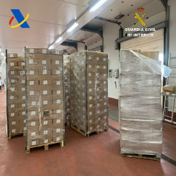 Detenido uno de los mayores capos mundiales de la droga tras intervenir 3.400 kilos de coca&iacute;na en Algeciras