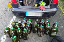 Detenidos en Cantabria tres jóvenes de Vizcaya por robar 20 garrafas con 100 litros de aceite de oliva