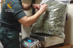 Dos detenidos con 38 kilos de marihuana para una asociaci&oacute;n cann&aacute;bica