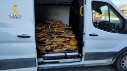 Dos detenidos por robar m&aacute;s de 700 piezas de ib&eacute;ricos valoradas en 200.000 euros