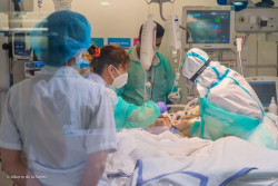  El 15% de los j&oacute;venes ingresados por Covid-19 presenta fracaso respiratorio, seg&uacute;n un estudio