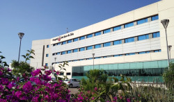  El 99% de los menores positivos son asintom&aacute;ticos o leves 