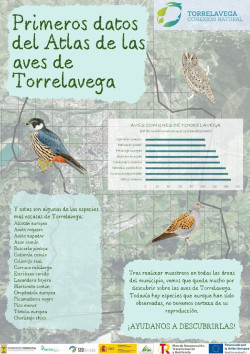 El Atlas de las Aves de Torrelavega detecta 90 especies, 75 reproduciéndose en la ciudad