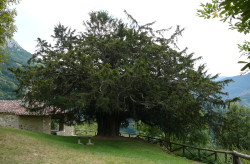 El bombardeo de promesas de los partidos políticos en Santander.