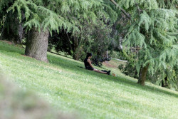 El calor, con cerca de 40&ordm;C, y las tormentas por toda la Pen&iacute;nsula pondr&aacute;n este lunes en alerta a ocho comunidades