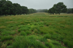 El campo de Cantabria abandonado y la  industria y  construcción en agonia 
