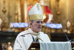 El cardenal Osoro da positivo por Covid-19 y no participar&aacute; en la visita ad limina en el Vaticano