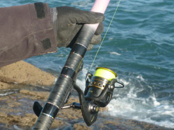 El "carrete" de Sánchez. 