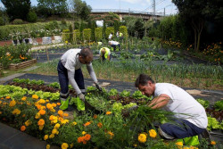  El Centro de Formaci&oacute;n imparte 28 cursos gratuitos en el primer semestre