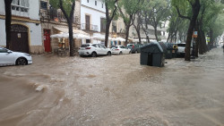 El centro de Jerez vuelve a inundarse por una fuerte tromba de agua tras la dana de octubre de 2024