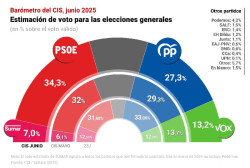 El CIS de Tezanos  dispara al PSOE al 34,3% tras el `caso Leire` 