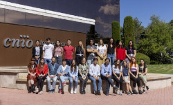 El CNIO investiga en inmunoterapias más efectivas y con menos efectos secundarios para niños con cáncer