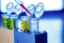 El cobaya humano, por Alfonso Campuzano