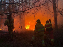 El consejero Mart&iacute;n denuncia que los incendios causan importantes da&ntilde;os a redes de comunicaci&oacute;n en &aacute;rea occidental, Santander y valles pasiegos