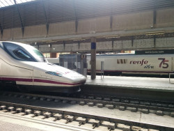 El Defensor del Pueblo pide informaci&oacute;n al Gobierno sobre la interrupci&oacute;n de la circulaci&oacute;n ferroviaria Madrid-Sevilla