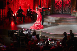 El flamenco de la bailaora Yolanda Osuna llega a Nueva York de la mano del Teatro Real
