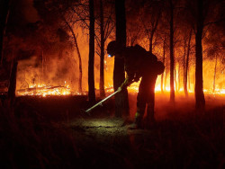 El fuego arrasa 39.155 hect&aacute;reas en Espa&ntilde;a hasta el 3 de agosto, un 9% m&aacute;s que en 2024