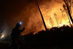 El fuego arrasa 91.579,51 hect&aacute;reas en Espa&ntilde;a hasta el 17 de agosto, a falta de incluir las de CyL y Galicia