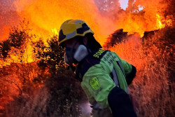 El fuego calcina ya 108.000 hect&aacute;reas, cuatro veces m&aacute;s que en la misma &eacute;poca del a&ntilde;o pasado, seg&uacute;n Aagesen