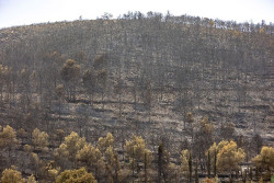 El fuego de la Vall d`Uix&oacute; arrasa 9.300 hect&aacute;reas y preocupa el flanco entre Tales y Alfondeguilla