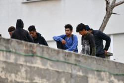 El Gobierno aprobar&aacute; ma&ntilde;ana 20 millones de euros para mantener a menores inmigrantes  en las CC.AA