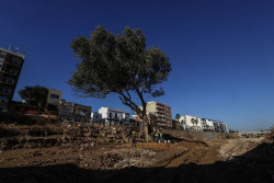 El Gobierno cifra en 973 millones de euros las ayudas ya abonadas por la dana que no llega ni al 6% prometido