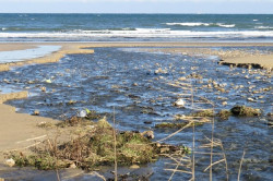 El Gobierno de Cantabria convoca ayudas de 100.000 euros para los inventarios de &aacute;reas degradadas de los municipios