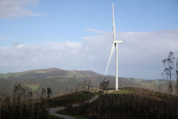 El Gobierno de Cantabria deniega la autorizaci&oacute;n para el proyecto e&oacute;lico `Olea`