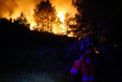 El Gobierno declara `zona catastr&oacute;fica` territorios en todas las CCAA, excepto Pa&iacute;s Vasco, por incendios y danas
