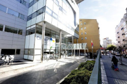 El Gobierno destaca que Cantabria registra en mayo los mejores datos de afiliación a la Seguridad Social de su historia