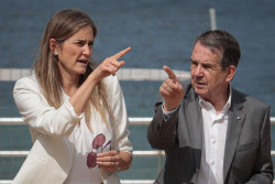 El Gobierno expondr&aacute; este viernes a comunidades los datos sobre el lobo para ver "qu&eacute; se puede hacer y qu&eacute; no"