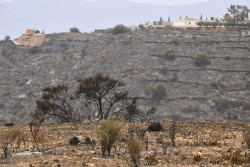 El Gobierno franc&eacute;s busca a una ciudadana desaparecida en el incendio de Los Gallardos (Almer&iacute;a)