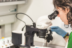 El Gobierno ha destinado 839 millones de euros a investigación contra el cáncer en los últimos 6 años